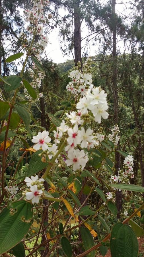 Sitio Cachoeirinha - Araguaia Marechal Floriano Luaran gambar